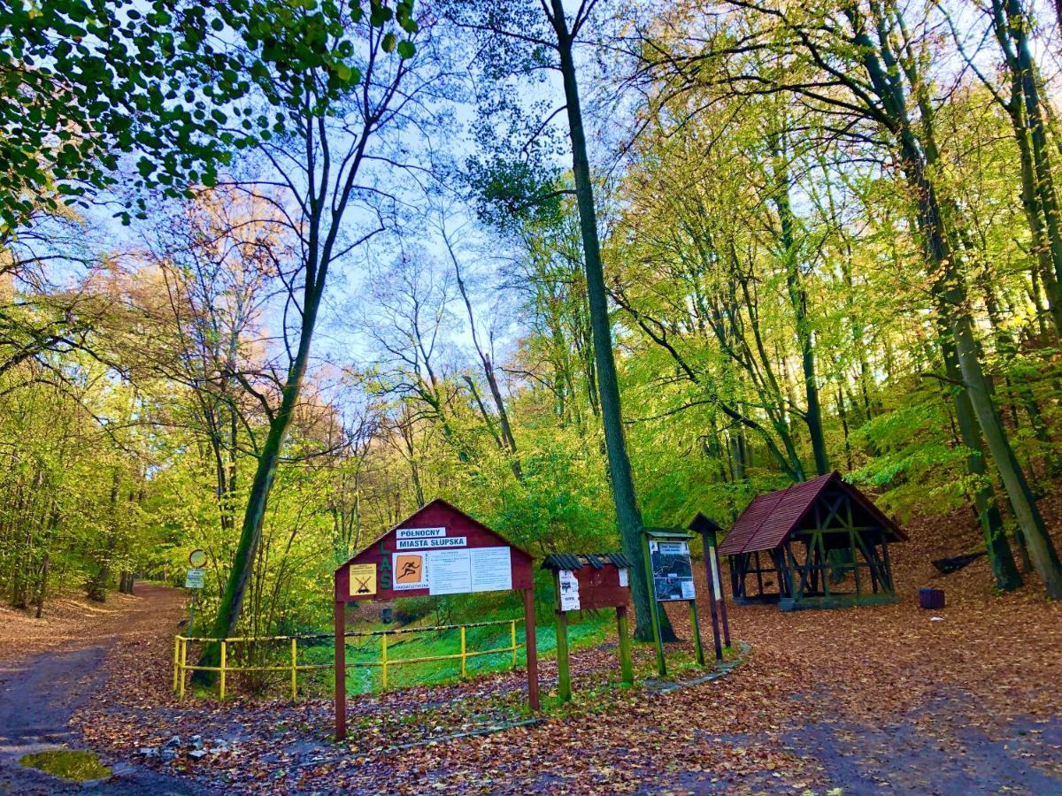 Slupski Premium: Spacious Two-bedroom With Smart Entertainment Slupsk